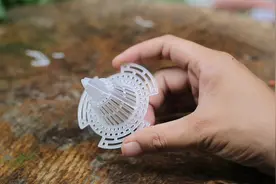 在花盆底部垫个“小圆锥”，园艺师教你，可以大大改善根系通风性