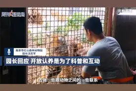 南京红山动物园回应开放认养视频封面