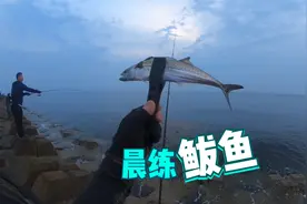 大连海之韵路亚晨练鲅鱼