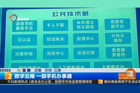 数字云南 一部手机办事通