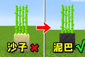 我的世界：种田必备的8个简单技巧！