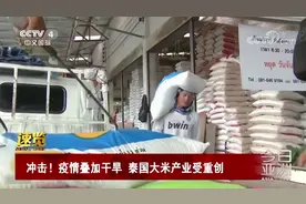 疫情叠加干旱 泰国大米减产 出口受重创视频封面