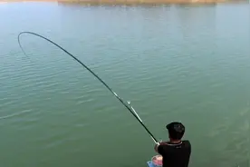 钓到大鱼后，“用力晃竿”的做法到底对不对？