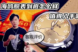 新款海鸥腕表到底怎么样？不黑不吹客观评价 分析国表现状视频封面
