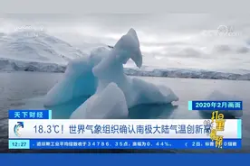 18.3℃！世界气象组织确认南极大陆气温创新高|天下财经