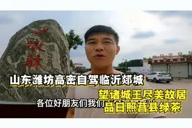 山东潍坊高密自驾临沂郯城：望诸城王尽美故居，品日照莒县绿茶视频封面