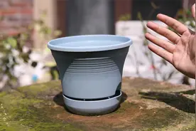 懒人养花用什么花盆？园艺师教你，用自动吸水盆，省去浇水的麻烦视频封面