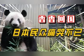 日本究竟有多喜欢熊猫，香香回国日本民众齐身欢送！视频封面