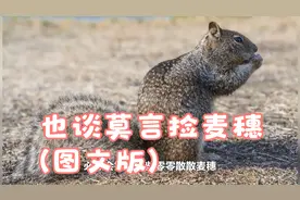 也谈莫言捡麦穗(图文版)@司马南视频封面