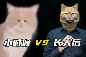 小时候 VS 长大后，区别有亿点大视频封面