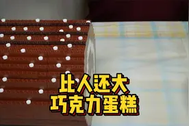 做一个比我人还大的巧克力蛋糕，还用上了尖叫鸡的蛋视频封面