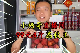 花99元在小杨哥直播间买了4斤荔枝王，结果烂了一半，被坑了吗？视频封面