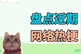 盘点近期网络热梗：歪嘴小猫、吴京被电击、沃尔玛购物袋