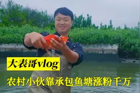农村小伙承包鱼塘，意外走红涨粉千万，“乡土风”再度席卷网络视频封面