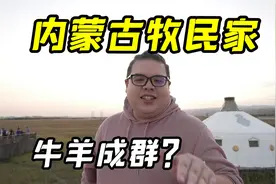 美国小伙游内蒙古大草原，当地牧民人均100头牛？我发现了真相视频封面