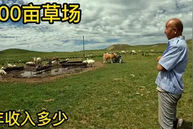 内蒙大哥有3000亩草场，500只羊几十头牛，每年在牧场生活5个月