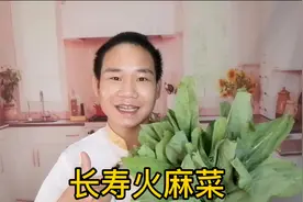 厨师教你一道健康食谱 "长寿火麻麦菜" 做法简单.养生保健.收藏了视频封面