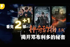 看完神奇动物在哪里12揭秘邓布利多与格林德沃的故事哈利波特前传视频封面