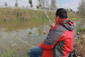 台钓：如何快速提升抛竿技巧？实战演示多方位解读，简单易懂