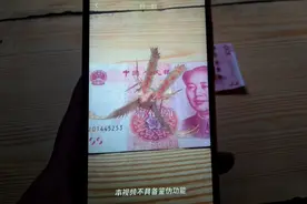 原来要这样扫才能看见100元人民币飞出凤凰，难怪以前扫不出来！视频封面