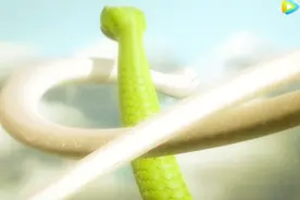 青蛇为救人而死，因此得道成仙，青白二蛇化成人形，姐妹共修佛道视频封面