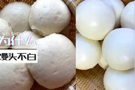 馒头不白不光滑？2个揉面技巧，让你蒸出洁白光滑的馒头视频封面
