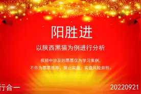 阳胜进——以陕西黑猫为例进行分析视频封面