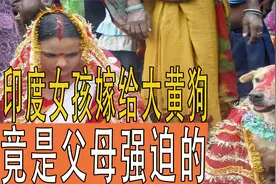 印度女孩嫁给大黄狗，父母全力支持，只是因为村长一句话视频封面