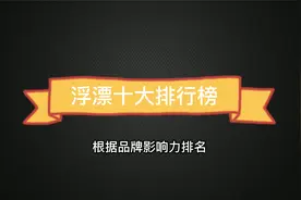 浮漂排行榜Top10，你用过几种？