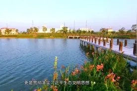 东莞市银山市级湿地公园生态修复工程视频封面