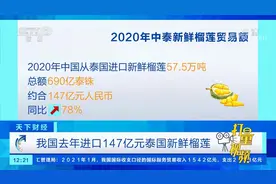 我国去年进口147亿元泰国新鲜榴莲，同比增长78％|天下财经视频封面