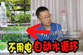 号称不用电的自动水循环鱼缸，矿泉水瓶就能制作，这是真的吗