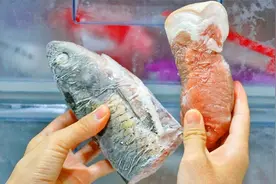 冰箱里的冷冻肉，解冻以后还能再次冷冻吗？很多人不清楚，长知识视频封面