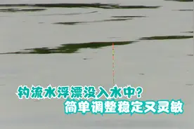 钓流水浮漂总是慢慢没入水中，这样调整，浮漂稳定且灵敏视频封面