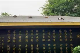 在江苏省中医院住院期间的所见所闻 院区公园