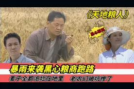 暴雨来袭黑心粮商跑路，麦子全都泡烂在地里，老农们被坑惨了视频封面