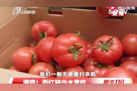 “菜中之果”西红柿，营养价值远超普通水果，即可当菜又可当水果视频封面