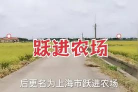 带你重返上海崇明“跃进农场”那个曾经让人热血沸腾的地方还在吗