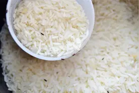 大米生虫千万别乱扔！米店老板教我一招，1分钟米虫全都跑光视频封面