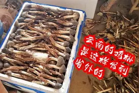 云南人是这样把鸡枞打包发到全国各地的视频封面