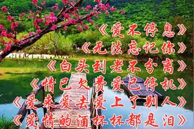 杨美华歌曲精选《爱不停息》《无法忘记你》《《白头到老不分离》