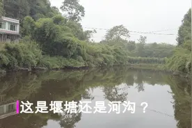 重庆巴南界石公平：老街背后的一条街，却有浓浓的乡村气息！视频封面