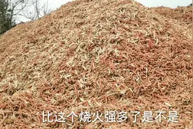 农民当柴烧的玉米芯，6分钱一斤回收，年收入几十万，到底干啥用视频封面