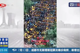 成都：网友爆料！大量共享电动助力车被弃荒地？记者实地探访