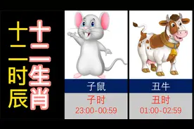十二生肖，十二时辰，鼠牛虎兔龙蛇马羊猴鸡狗猪！视频封面