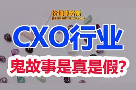 暴跌，曾经的超级题材CXO， 还有救吗？视频封面