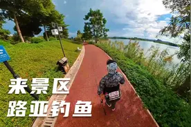 来到景区钓鱼，据说好的位置鱼也多，可惜第一次来没找到！视频封面