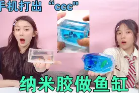 你敢信，纳米胶还能做鱼缸？养几条小鱼游来游去，太有趣了