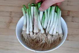 蒜须根不要扔了，把它往锅里面一煮，原来作用这么厉害，太实用了视频封面