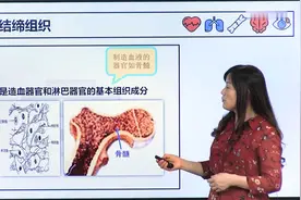 医学基础：2.2人体的基本组成—结缔、脂肪组织，软骨与骨视频封面